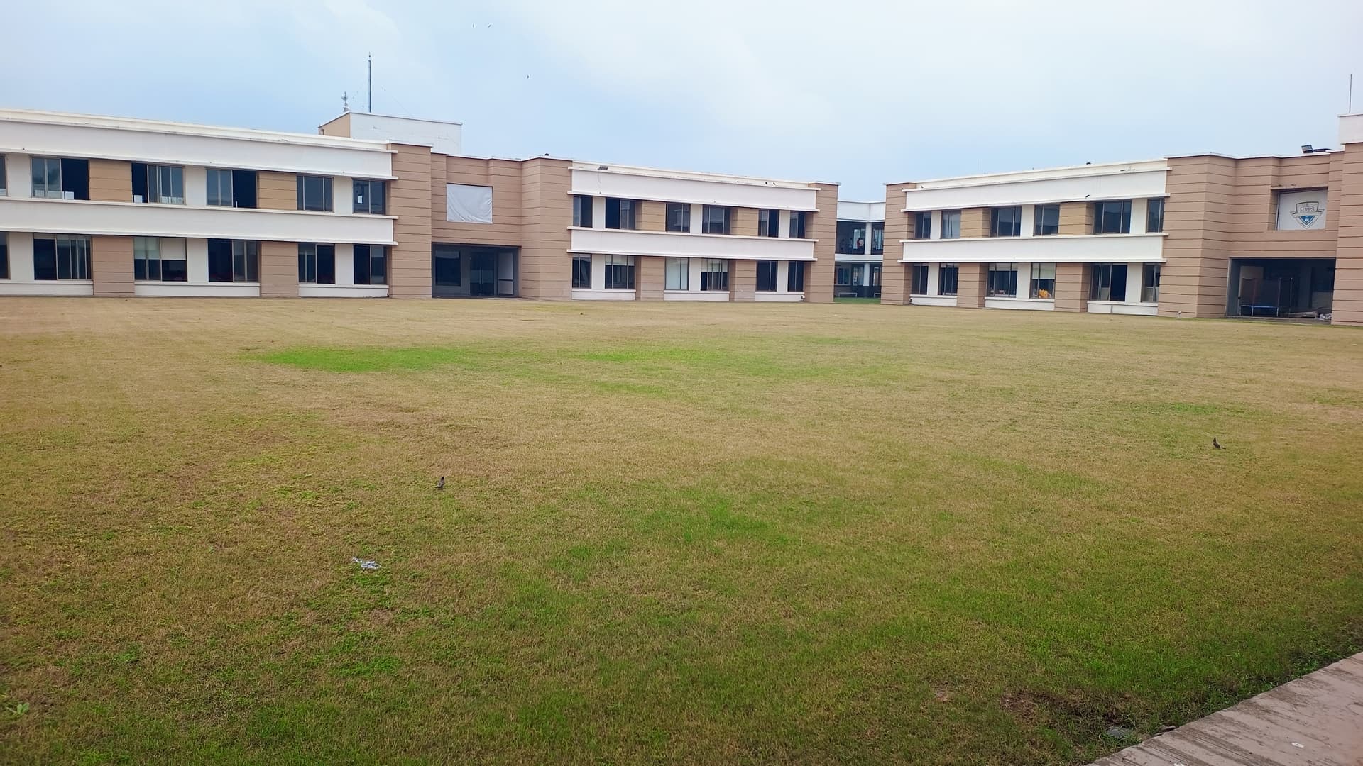 Ground photo