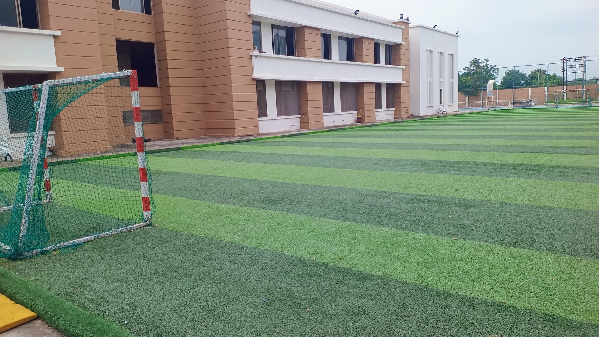 Ground photo